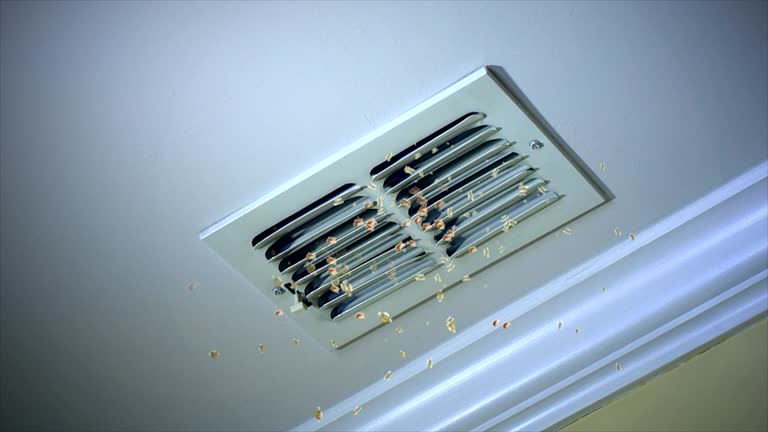 Best HVAC Maintenance and Cleaning  in Bonners Ferry, ID