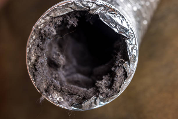 Best Air Duct Cleaning Near Me  in Bonners Ferry, ID